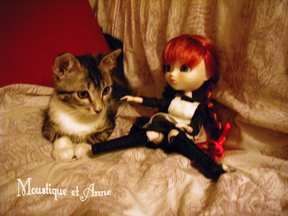{PULLIP Anne Shirley} Photooos! Up p02::avec mon chat ^3^ - Page 2 AnnShirley2005-10_Moustique02bassdef