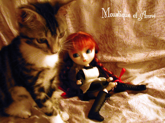 {PULLIP Anne Shirley} Photooos! Up p02::avec mon chat ^3^ - Page 2 AnnShirley2005-10_Moustique03bassdef