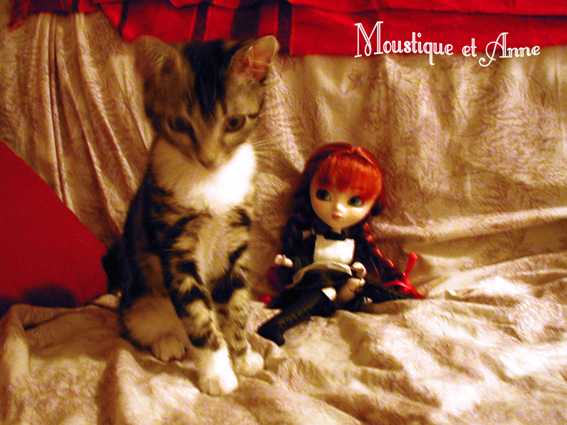 {PULLIP Anne Shirley} Photooos! Up p02::avec mon chat ^3^ - Page 2 AnnShirley2005-10_Moustique04bassdef