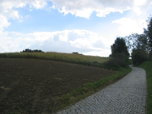 Oude Kwaremont Oudekwaremont1