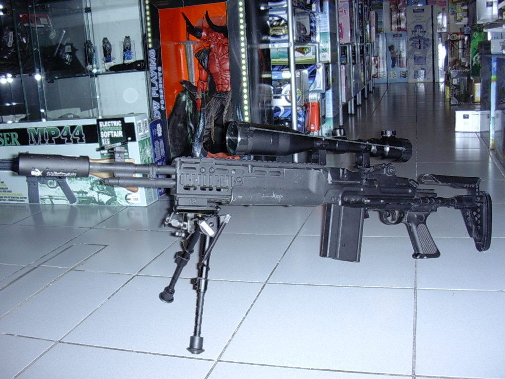 M14 EBR Custom DSCN3182