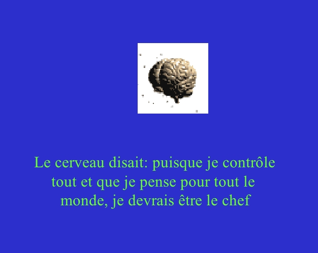 Projet de société idéale. Chef2