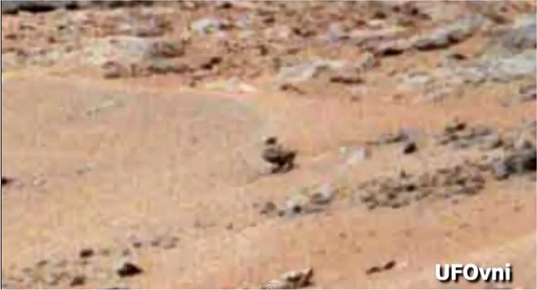 la grenouille, le canard et le lézard sur Mars Curiosity_05.08.13_canard_mars