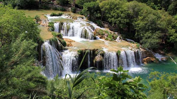 une cascade  - ajonc - 24 août 2016 trouvé par Martine 101-2372-1