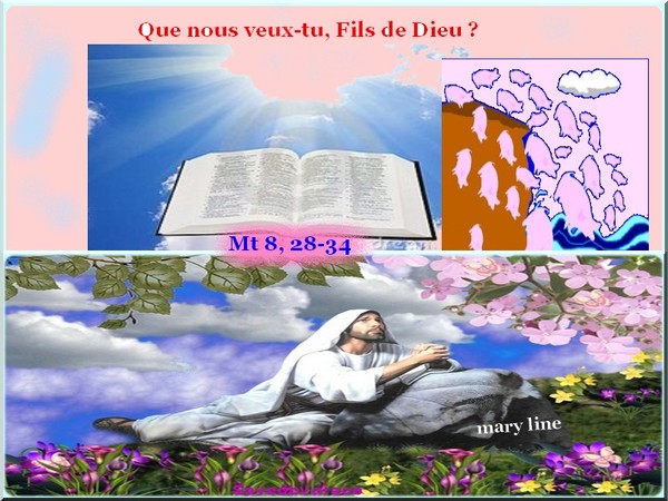 Verset du 2 Juillet « Que nous veux-tu, Fils de Dieu ? 528ecff3