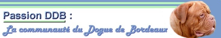 Passion Dogue De Bordeaux LOGO