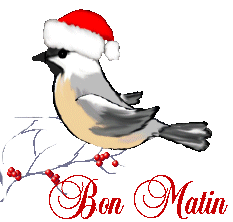 Joyeuses Fêtes de Noel Bon-matin