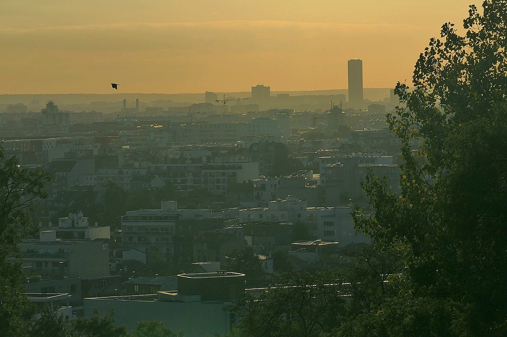 sur les toits de Paris ToitsdeParis2