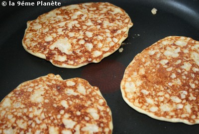 Galettes aux flocons d'avoine et parmesan Gfap08