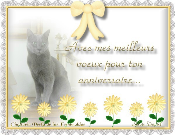     -  2 Anniversaire%205