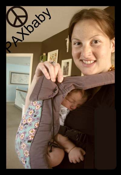 Beco Gemini - Page 2 Beco%20Gemini%20newborn%20PAXbaby%20safety%20buckles%202