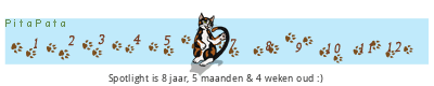 Wat zouden jouw kattennamen in het nederlands zijn? - Pagina 5 A92Tp1