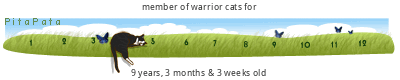 Wat is jouw favoriete kat uit warriors? - Pagina 7 Zhdyp2