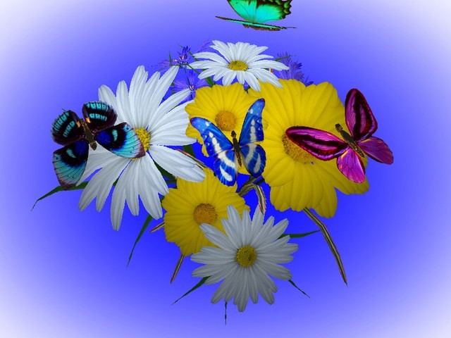 Fotografije cvijeća 3D_Wonderful_Flowers_15704