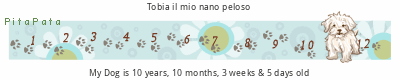 15 anni...... 5iNFp2