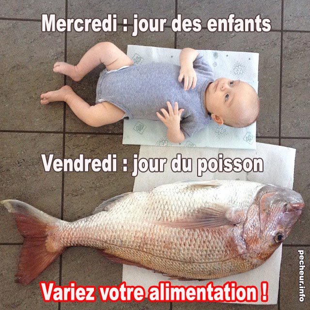 Vendredi 8 Janvier 2016 Vendredi-jour-du-poisson