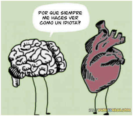 El corazón tiene cerebro, y… no es una metáfora Corazon_cerebro_02