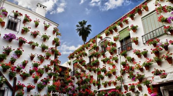 مهرجان الزهور في اسبانيا Festival_In_Cordoba_2