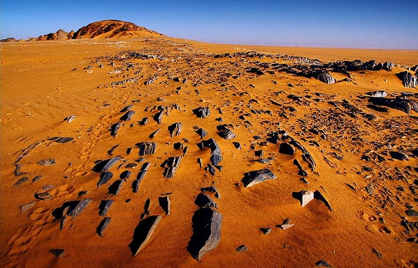 Η πιο αφιλόξενη έρημος στον κόσμο! Dunes6