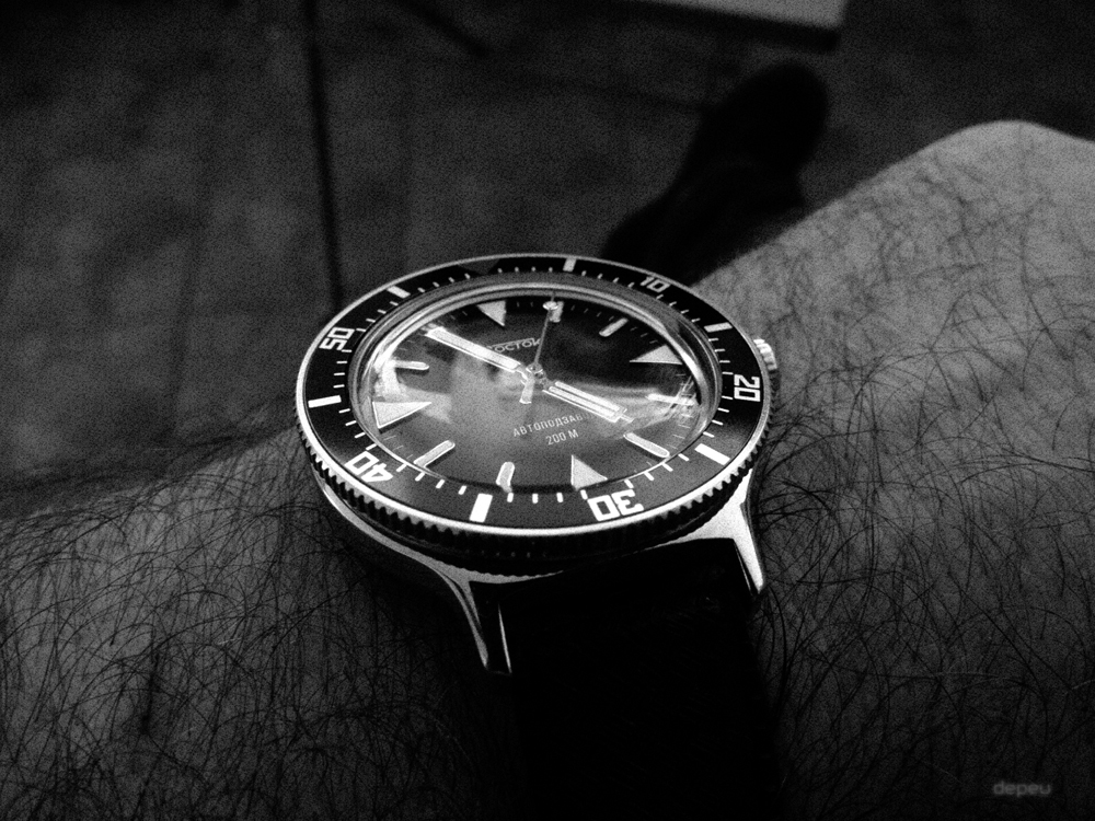 Amphibia - Feu de vos Vostok Amphibia - Page 22 Vostok_420_006bw