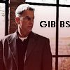 agent gibbs