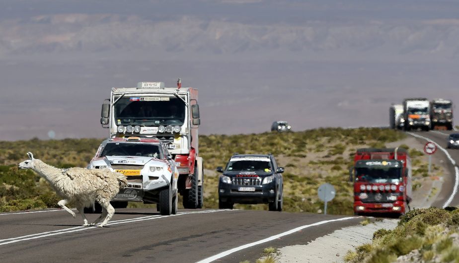 2012 - Dakar 2012-fotos. - Página 3 96946