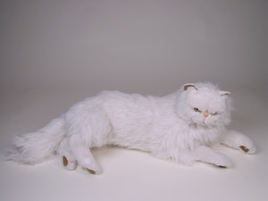 انـــــــــــــواع القطط بالصور Stuffed_white_persian_cat