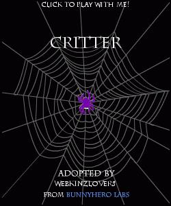 critter the spider BWM9c3BpZGVyLnN3ZiZjbHI9MHg3MDAxYWEmY249Y3JpdHRlciZhbj13ZWJraW56bG92ZXJz