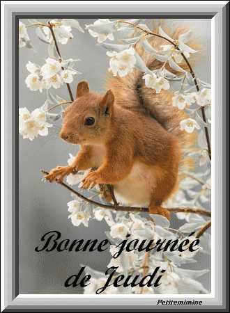 Vive  le Printemps 7312092e