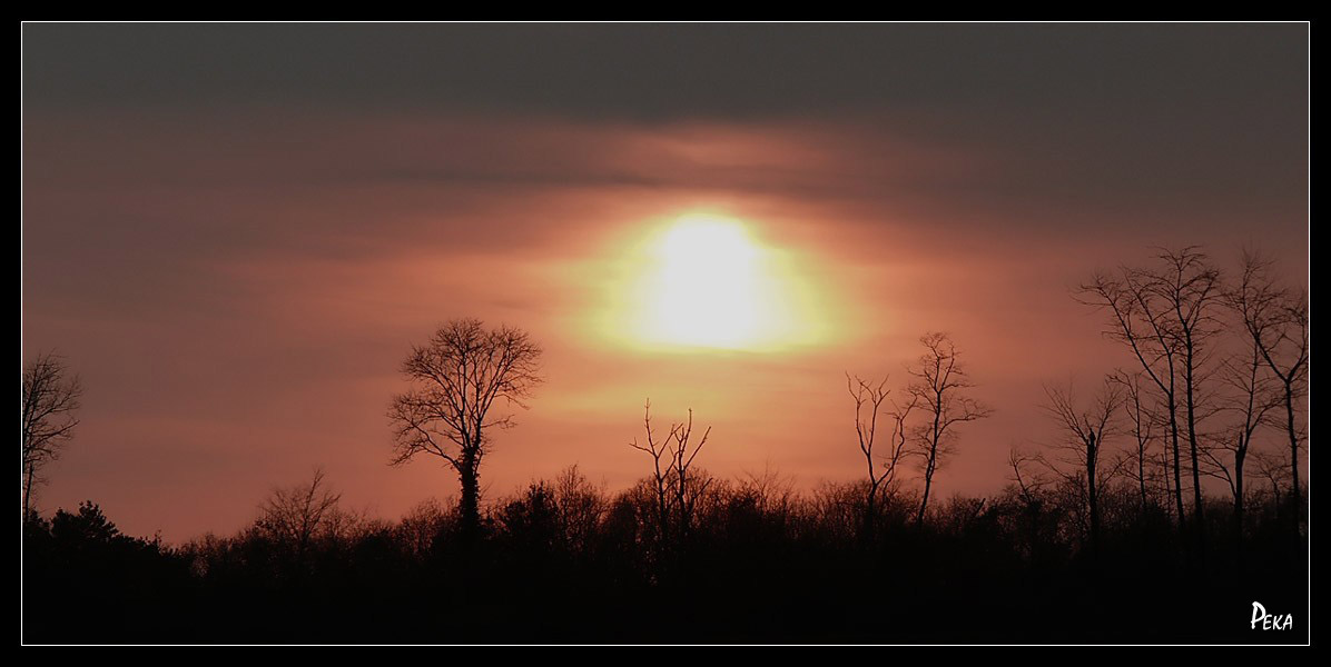 Crépuscules - arbre 08