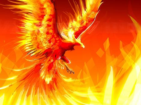 Daichi's Bank 1288504878_470x353_fire-phoenix