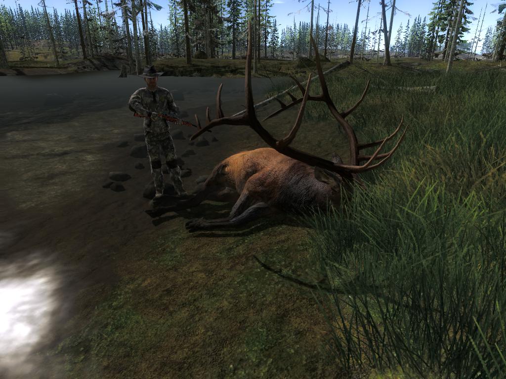 TOP 5 Elk // Wapiti  E6a03c32a71b5f86be5c07e0b9818f9551c7584f