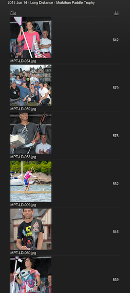 Morbihan Paddle Trophy - Page 4 Screen%20Shot%202015-06-20%20at%205.05.40%20PM-L