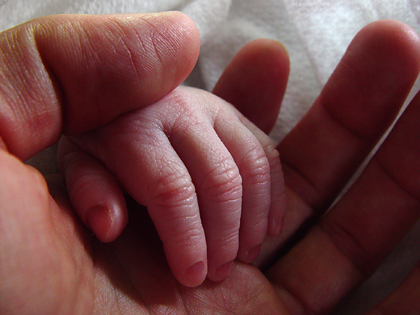 صور اطفال روعه Dad-and-baby-hands-1a