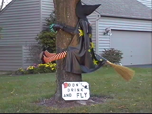 Don't drink and FLY! Halloweenflying