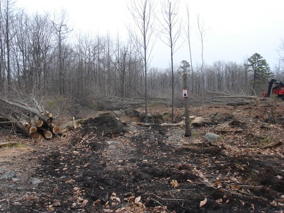 Changes at Rausch Creek DSC01399