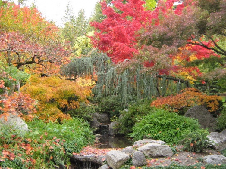 Inside the House....!!! Japanese-Garden