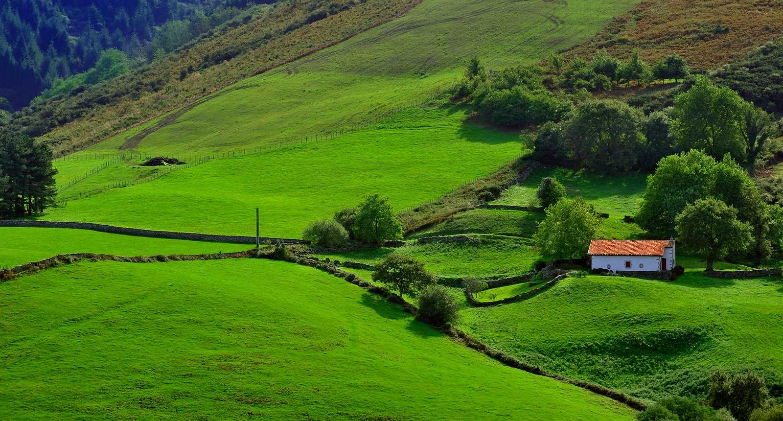 Szpanujemy ładnymi zdjęciami z odgrywanego przez nas kraju - Page 2 7_pays-basque