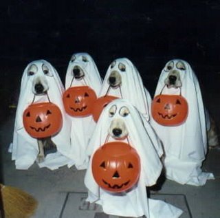 ***DIA DE HALLOWEEN*** Dog_ghost