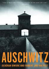 100 imagenes de Auschwitz (Campo de concentracion Nazi) Polonia 0001.0