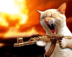 ¿Qué animal te representa? Cat_with_gun_pointing_left