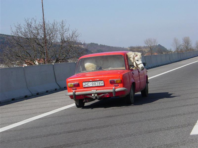 [ENTRETENIMIENTO] Un poquito de cachondeo 20050308.2_ferrari