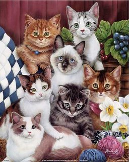       Kittens
