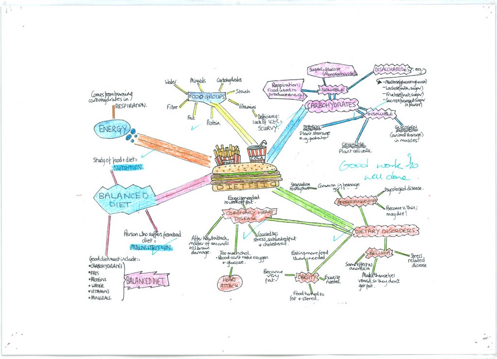 GCSE Revision - Diet MYSCAN_20040526_0003