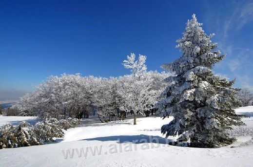 صور من سويسرا الخلابة Images-248205027122