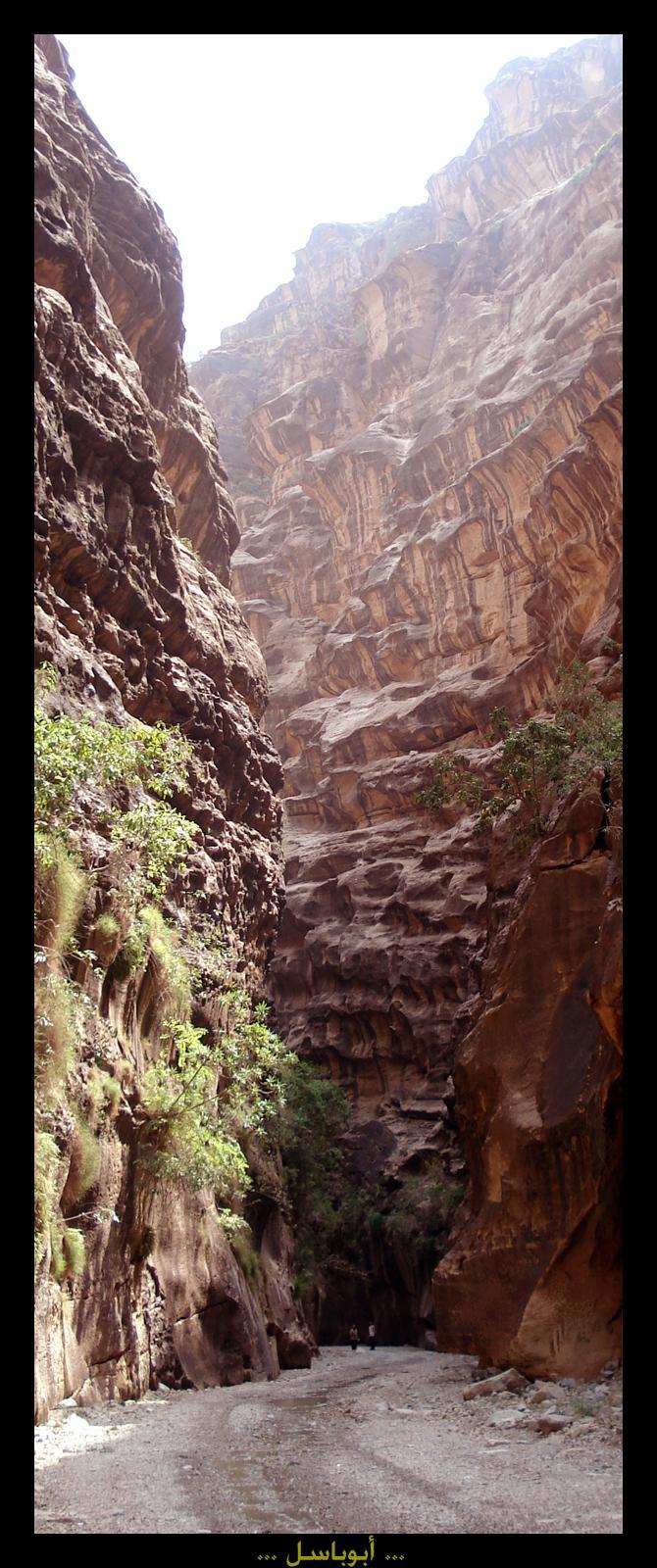 مناظر من وادي لجب في السعودية Images-c8ce2a121975