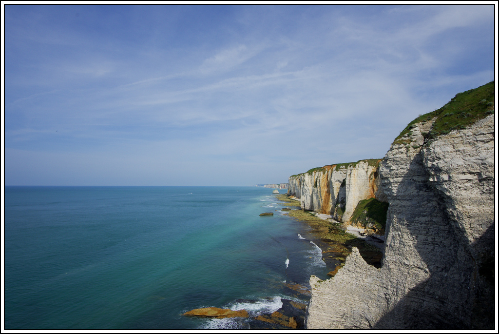 Sortie en Normandie avec des falaises, la mer, les vaches .... K5007608