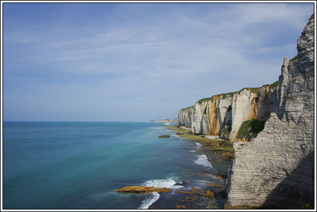 Sortie en Normandie avec des falaises, la mer, les vaches .... K5007613