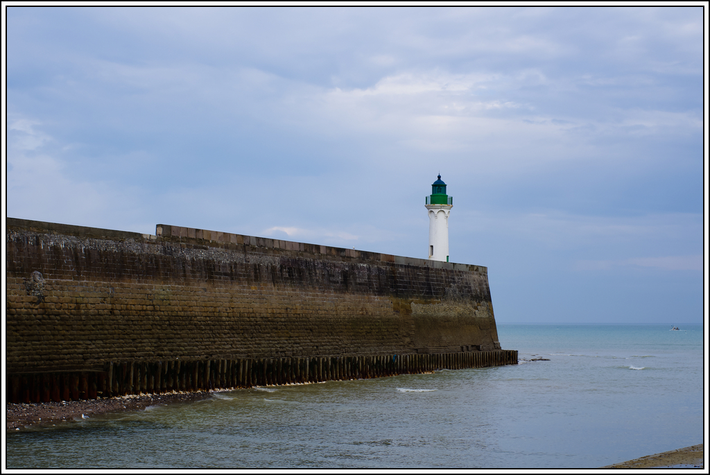 Sortie en Normandie avec des falaises, la mer, les vaches .... - Page 8 K5007817