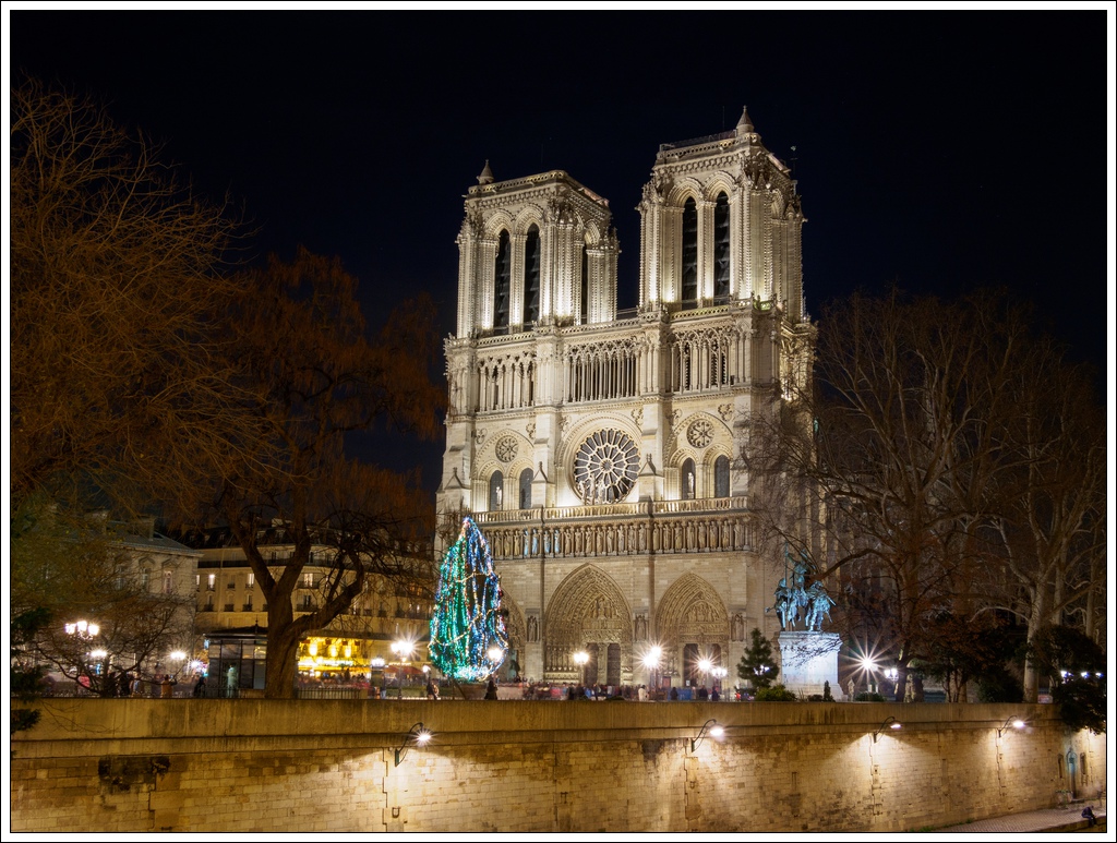 Notre Dame de nuit OMD02874